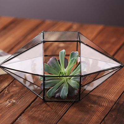 Florero de cristal claro de forma diamantada, floreros geométricos durables del vidrio del terrario proveedor