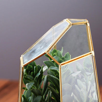 Envase de cristal del plantador del hexágono de Homeware del terrario grande para la planta suculenta proveedor