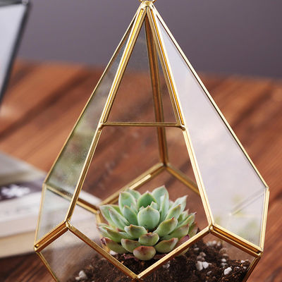 Terrario de cristal geométrico de Homeware de la flor de la ejecución de la planta del oro suculento de cristal del negro proveedor