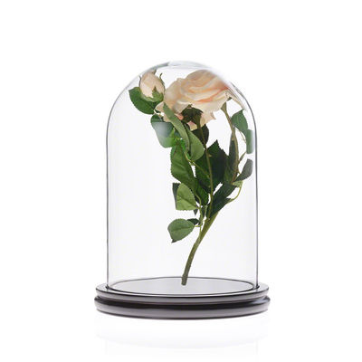 Cubierta de cristal preservada de la campana de cristal de Homeware de la exhibición de Rose con la base de madera negra proveedor